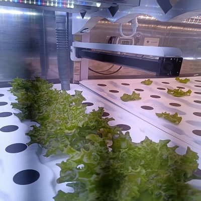 移动果蔬种植空间站