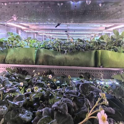 移动果蔬种植空间站