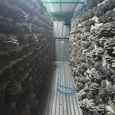 移动式智慧菌菇空间站