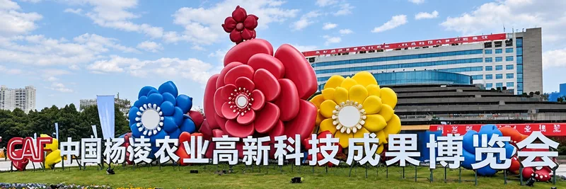强化能耗绿色转型政策引导