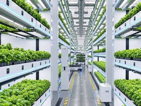 植物工厂专属智能体发布，人工智能加速融入智慧植培管理